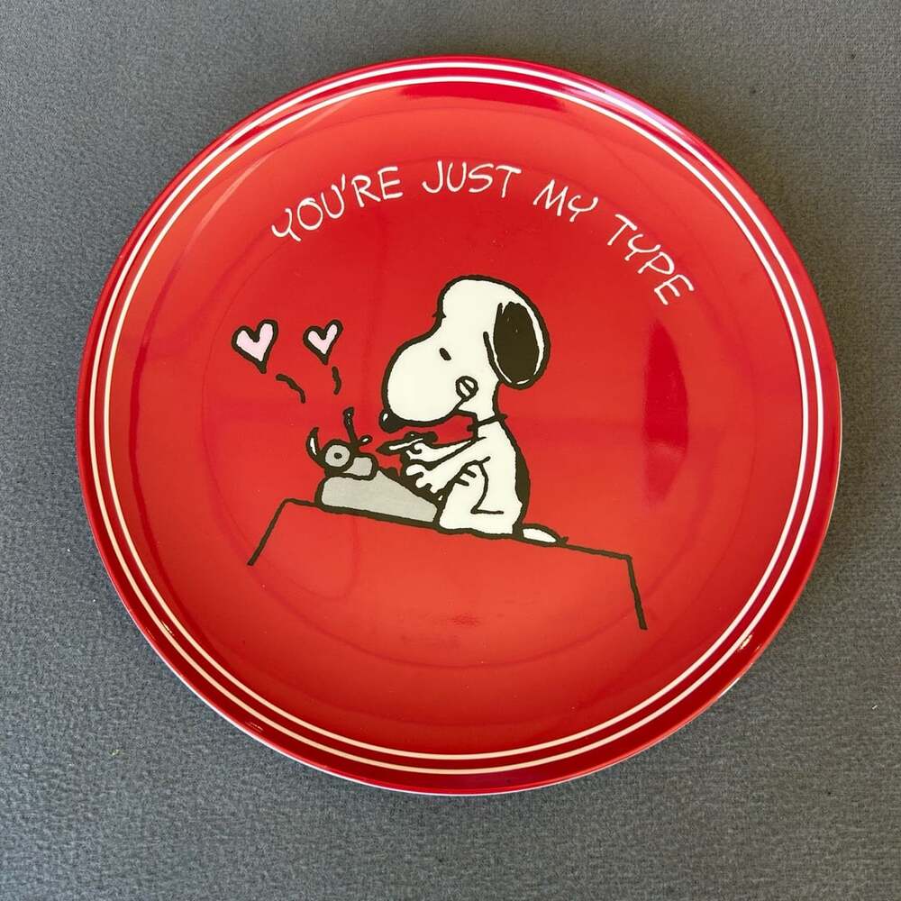 Pottery Barn Kids Snoopy Youre Just My Type Melamine Plate Red Set of 4